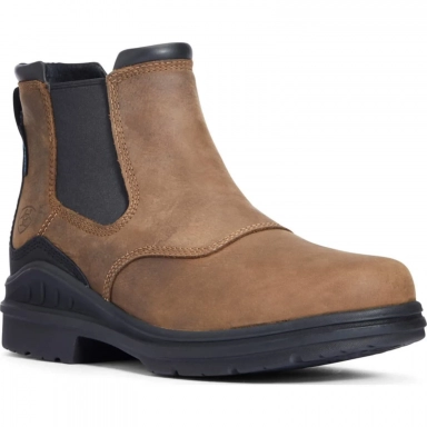 Ariat Mens Waterproof Riding Boot 6.5 Inch Antique Brown