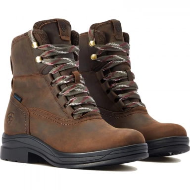 Ariat Womens Waterproof Riding Boot 6 Inch Chocolate