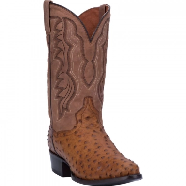 Dan Post Mens Tempe Full Quill Ostrich Saddle Brown-Chocolate Exotic
