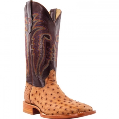 R Watson Volcano Brass Wide Square Toe Full Quill Ostrich Western Boot