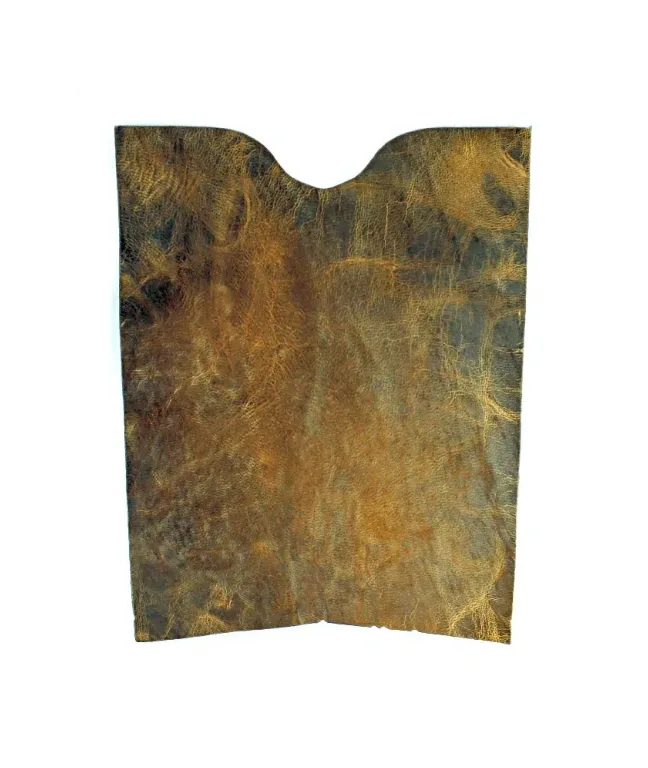 S Scallop with Back Quarter