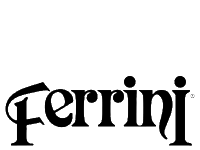 Ferrini Boots