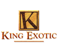 King Exotic Boots